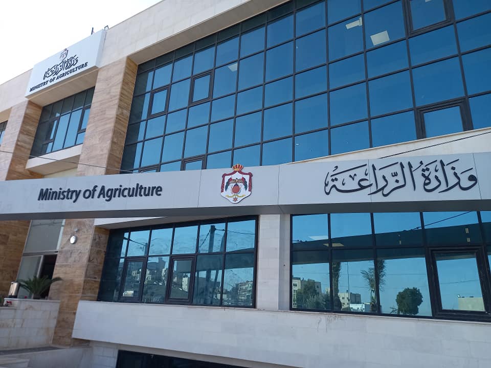 وزارة الزراعة تعيد فتح منشآت تصدير الأغنام الى السعودية