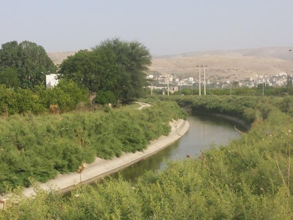 وفاة 3 أطفال أشقاء غرقًا في قناة الملك عبدالله