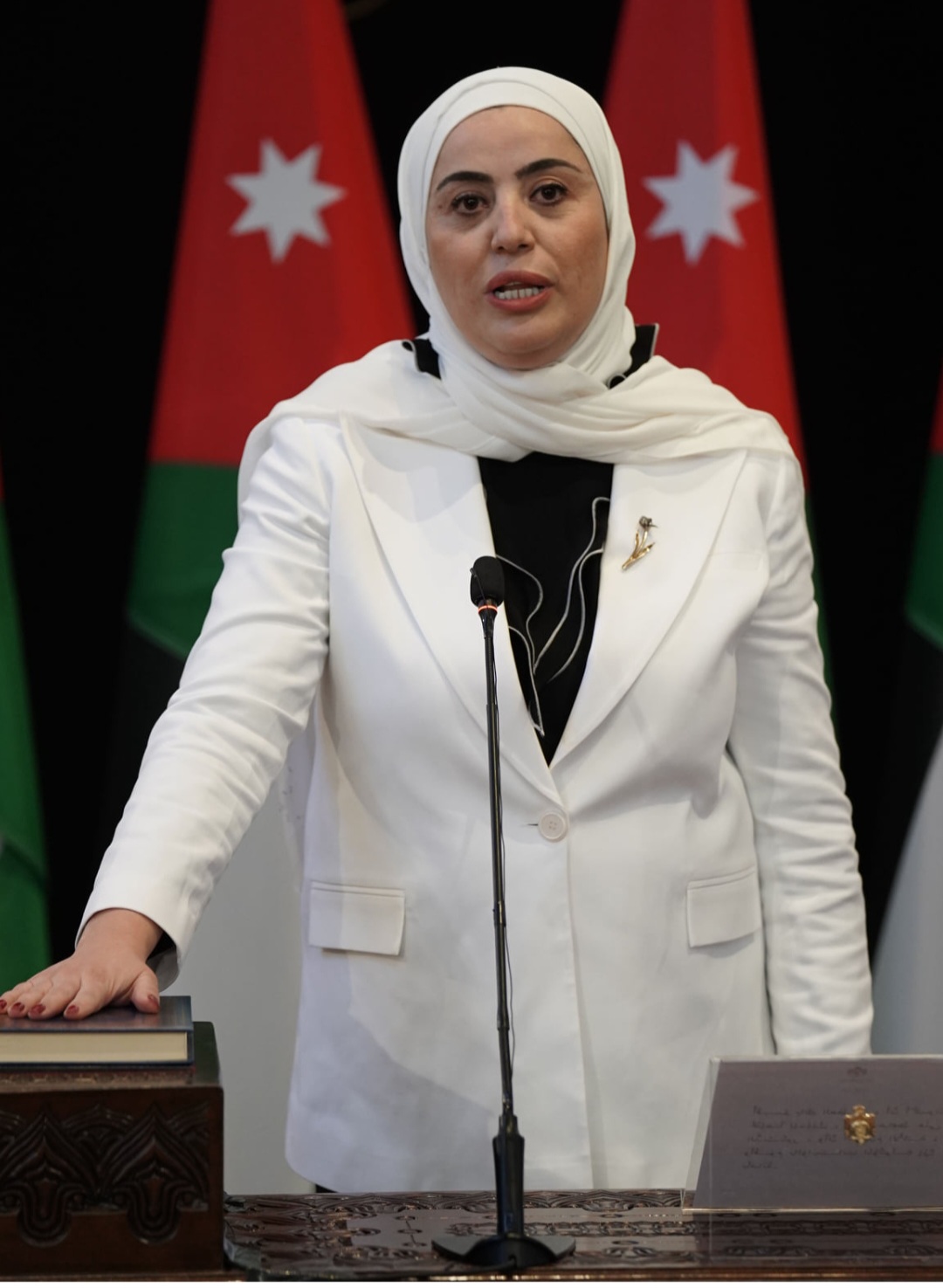 نهلة  الحجايا  تكتب : وزيرة الوفاء و العمل ..وفاء بني مصطفى