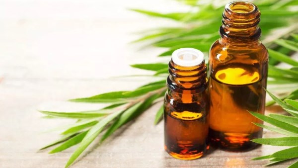 يعالج البروستاتا والمثانة.. فوائد خارقة لزيت مهمل