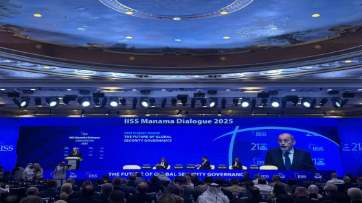 الصفدي: يجب الالتزام باتفاق وقف إطلاق النار في غزة لتحقيق السلام