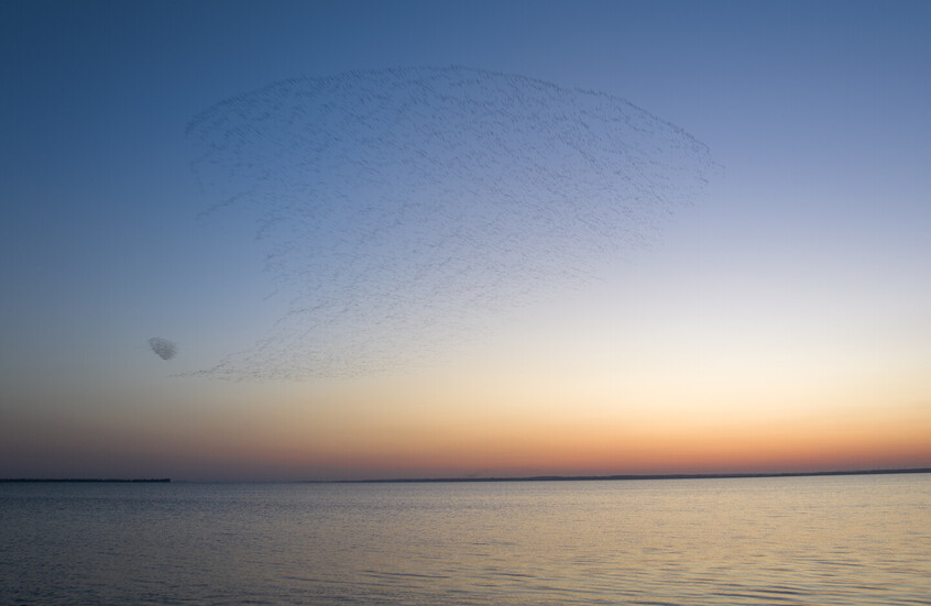 بوتين يحذر من أزمة المياه في العالم.. فما هي الدول الأكثر غنى بالمياه العذبة؟