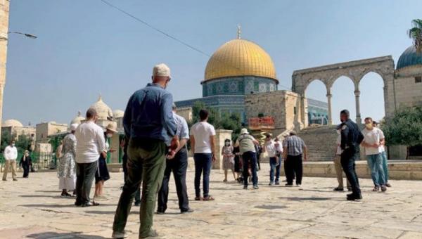 اعتقال 19 فلسطينيا بالضفة ومستوطنون يقتحمون باحات الأقصى