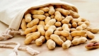مكسرات رخيصة قيمتها غالية.. فوائد الفول السوداني على صحة الجسم والعقل