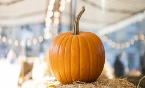 اليقطين .. غذاء مفيد أم ناقل خفي للسموم؟