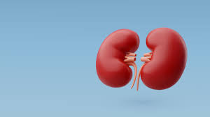 8 وصفات طبيعية لإزالة السموم ودعم وظائف الكلى