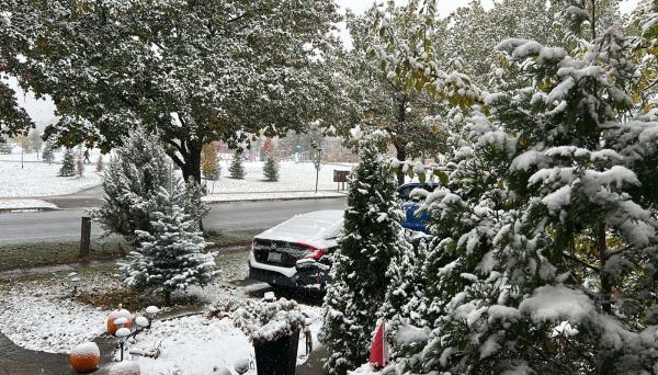 الثلوج تزور تورنتو مبكرًا وتغطي المدينة بطبقة بيضاء