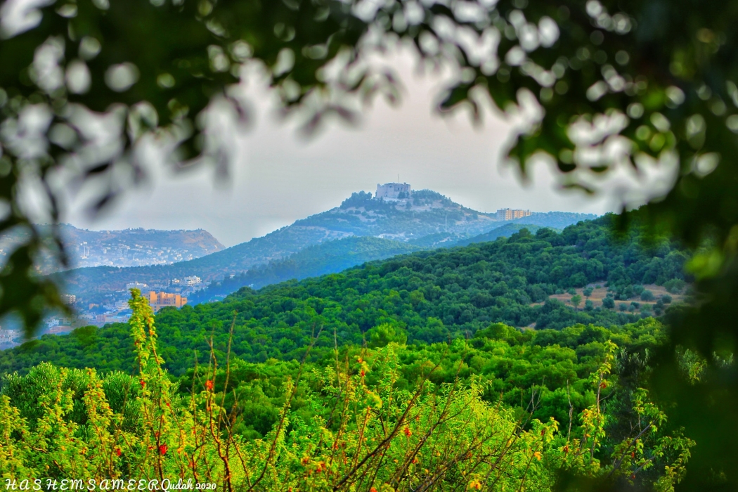 مبادرات شبابية في عجلون تعزز دور الشباب في التنمية المجتمعية