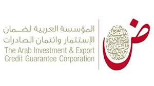 126 مليار دولار قيمة تأمين السلع والاستثمار والتمويل الوارد للدول العربية العام الماضي