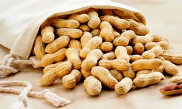 الفول السوداني .. مفتاح لتعزيز المناعة