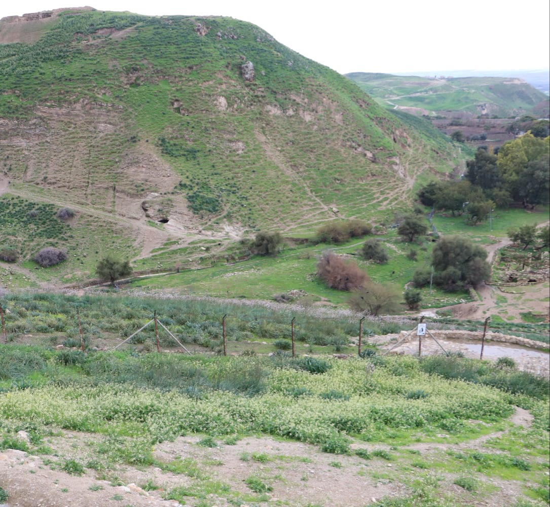 المنخفض الجوي الأخير شجّع المزارعين على البدء بالأعمال الزراعية المنوعة في إربد