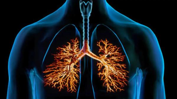 سرّ غذائي .. يقلل خطر أمراض القلب