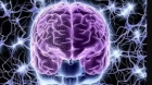 تمارين رياضية هامة تعزز قوة الدماغ