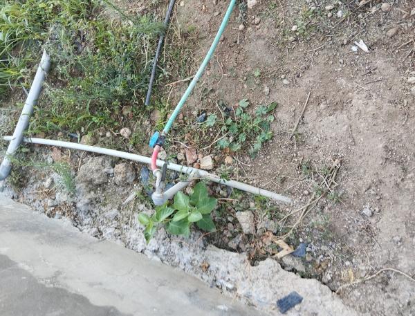 ضبط اعتداء على خط مياه رئيس لتزويد مزارع في الأغوار الشمالية