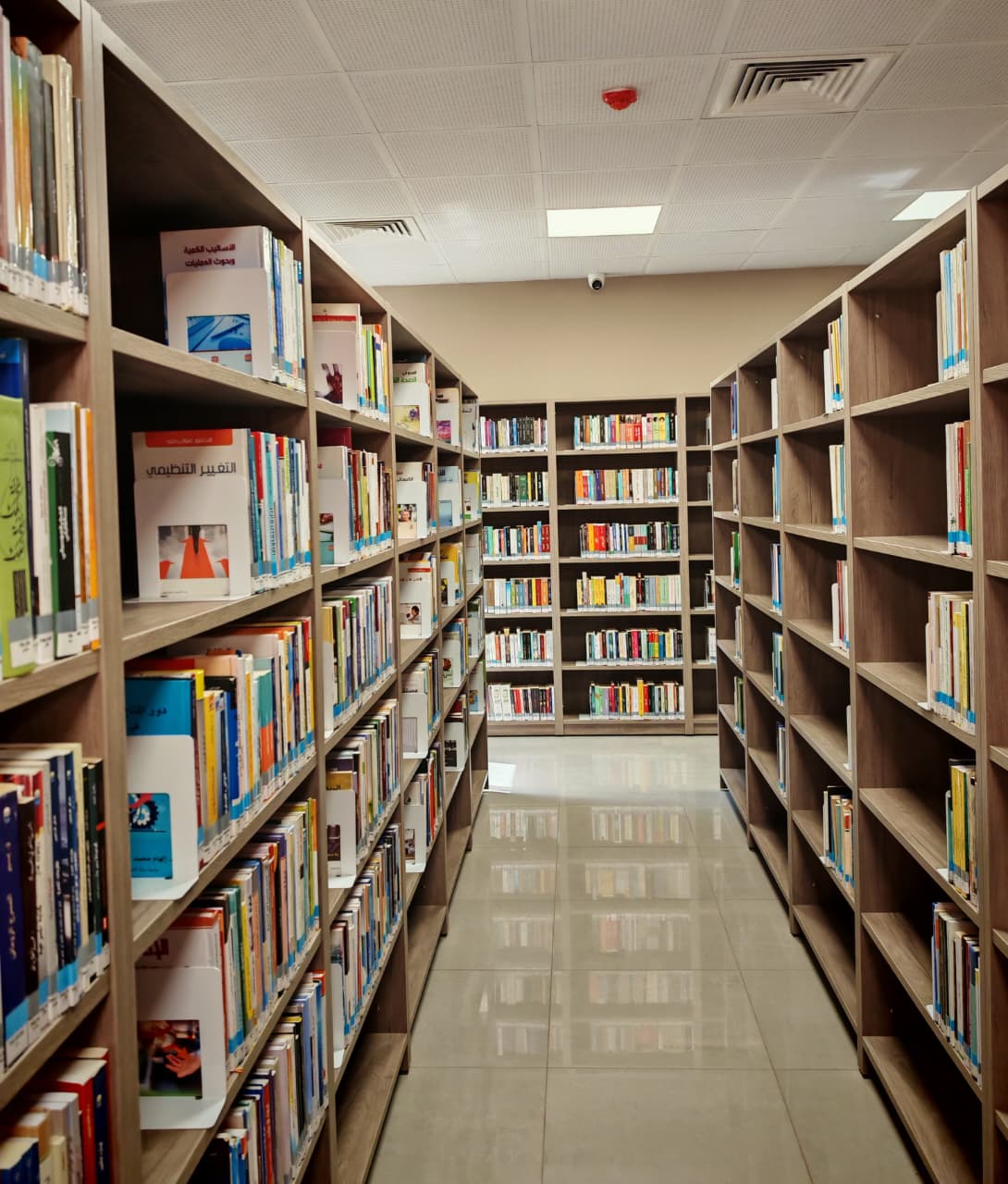 مكتبة شومان في معان..منارة معرفية وثقافية في المحافظة