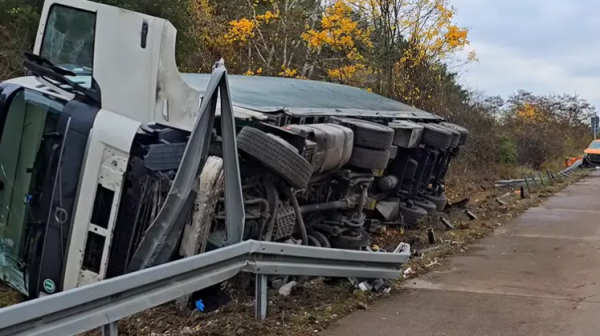 آلاف الدجاجات تتجول بحرية .. وتقفل طرقا رئيسة بألمانيا