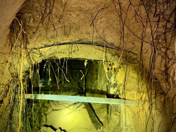 اكتشاف ممر في غابة حدودية لتهريب المهاجرين بين بيلاورسيا وبولندا