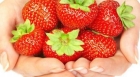 الفراولة … هل تناولها يرفع درجة حرارة الجسم؟