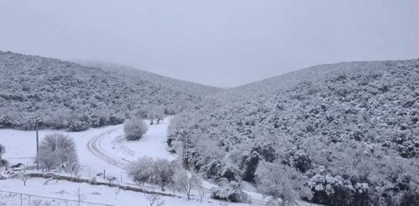 الأردن .. أول تساقط للثلوج بالموسم الشتوي فجر الاربعاء