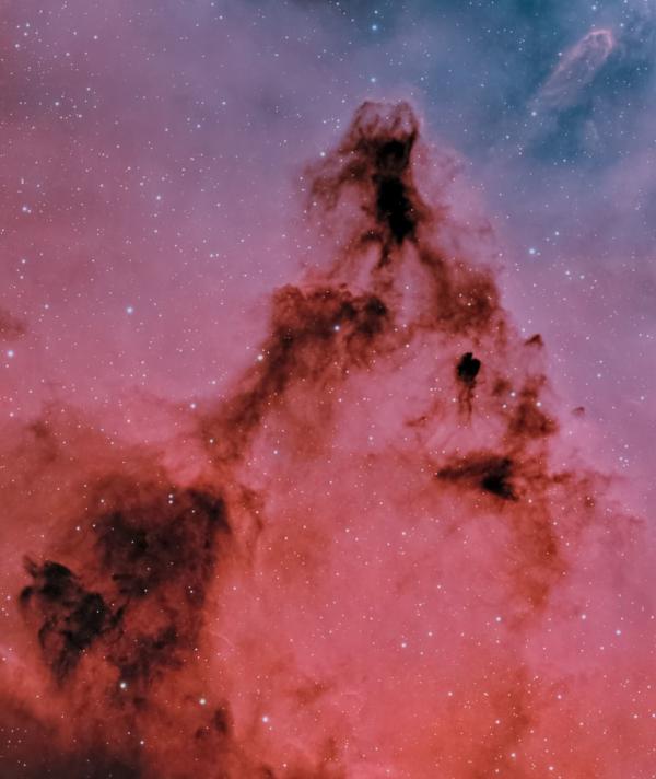 مرصد الختم يلتقط صورة خلابة لعنقود الشجرة وسديم المخروط