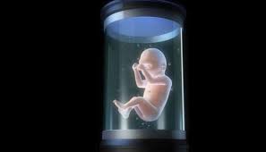 رحم اصطناعي يكشف أسرار الحياة في أيامها الأولى
