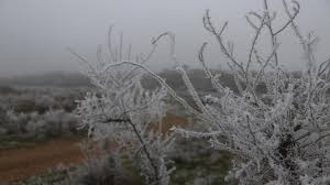 الأرصاد تحذر من تشكل الصقيع في ساعات الصباح الباكر