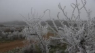الأرصاد تحذر من تشكل الصقيع في ساعات الصباح الباكر