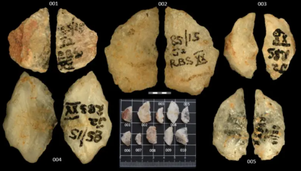 عمرها 60 ألف عام .. اكتشاف أقدم سهام لصيد الحيوانات