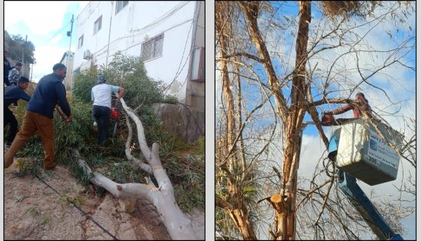 جرش: ضبط معتدين على الأشجار الحرجية خلال المنخفض