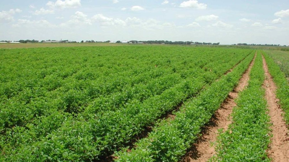 الكرك: معنيون بالشأن الزراعي يطرحون حلولاً لاستغلال مياه الأمطار وتجميعها