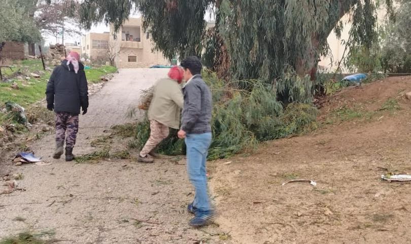 زراعة الكرك تتعامل مع حالات سقوط أشجار حرجية