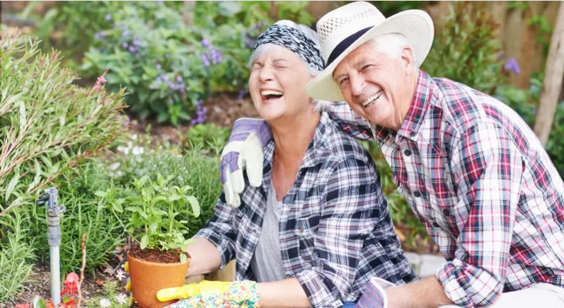 موقع The Keynote يقدم لك وصفة مصادر السعادة في الحياة اليومية