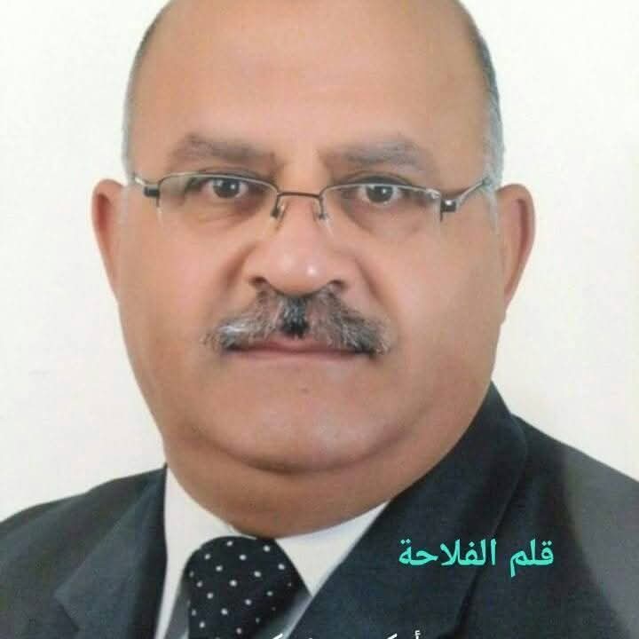 حين تخجل الأمة من نفسها