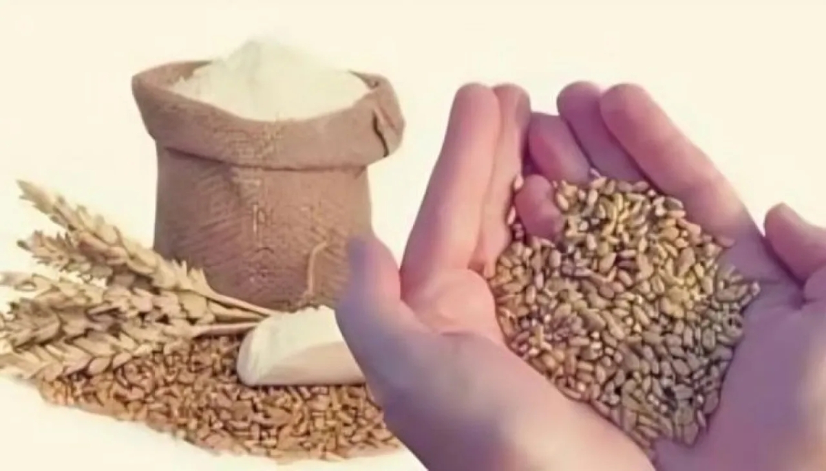 متى تخرج زكاة الفطر؟ وحكم تقديمها قبل العيد