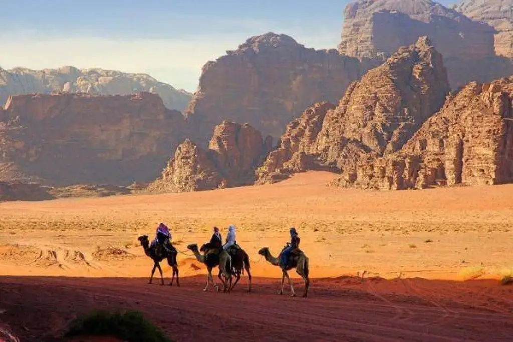 361.8 مليون دينار عائدات السياحة الشهر الماضي