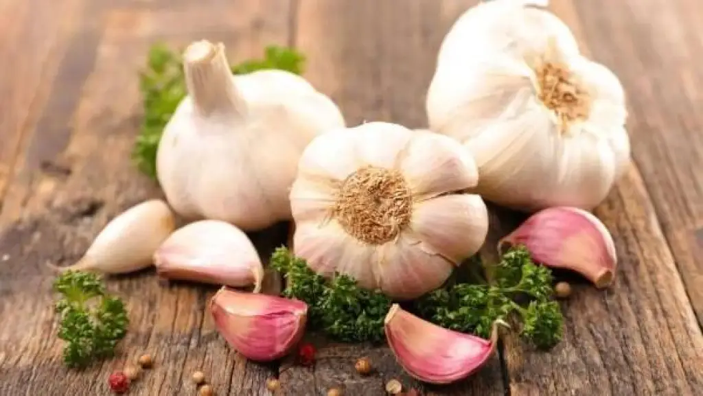إليك الفوائد والأضرار .. ماذا يحدث عند تناول الثوم يوميا؟