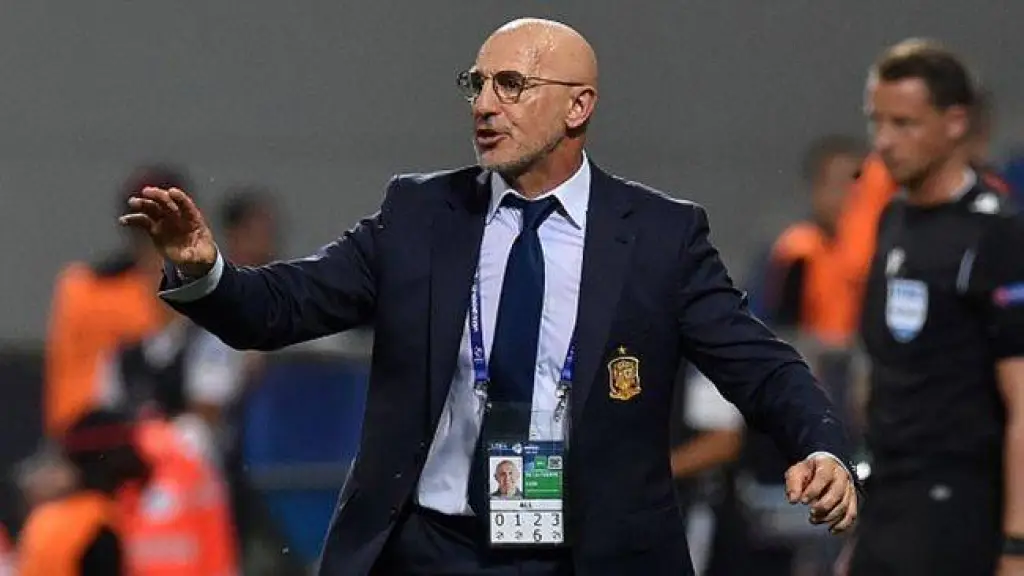 الاتحاد الإسباني يعلن تعيين دي لا فوينتي مدربًا للمنتخب خلفًا للويس إنريكي