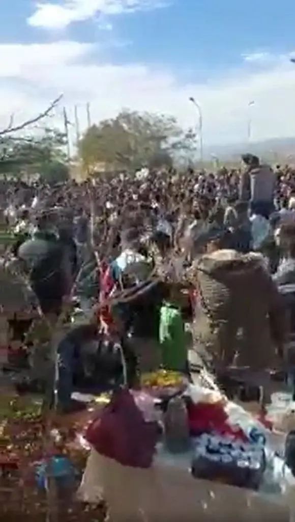 مشاجرة جماعية بكلية البلقاء بالعقبة - فيديو