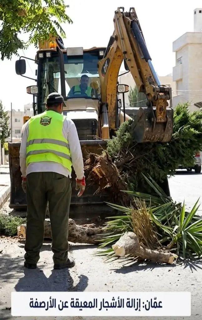 شاهدت بالأمس، كغيري، مشاهد آليات الأمانة وهي تقتلع أشجار الأرصفة، واستغربت حالة الاستنكار العام لهذا الإجراء.