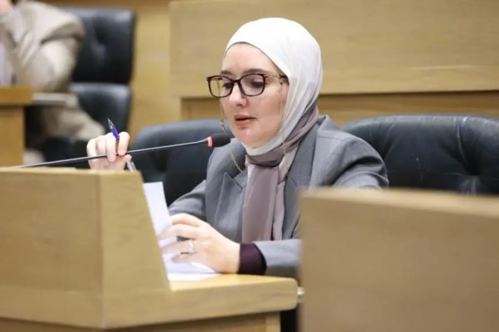 ناصر الدين: ترشيد الإنفاق في الظروف الاستثنائية يجب أن يشمل الملفات الكبرى