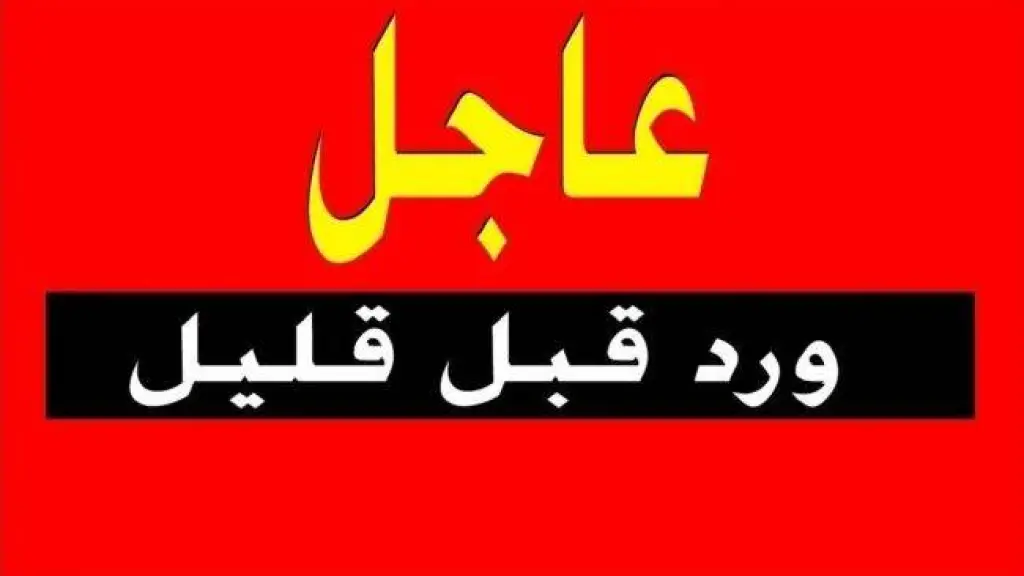 شاهد بالفيديو .. هلع بين المسافرين على طائرة قادمة من تركيا الى لبنان...