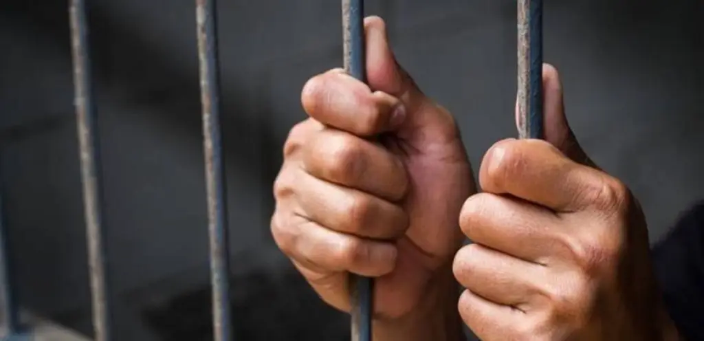 توقيف المتهم بقتل والدته في جريمة مروعة