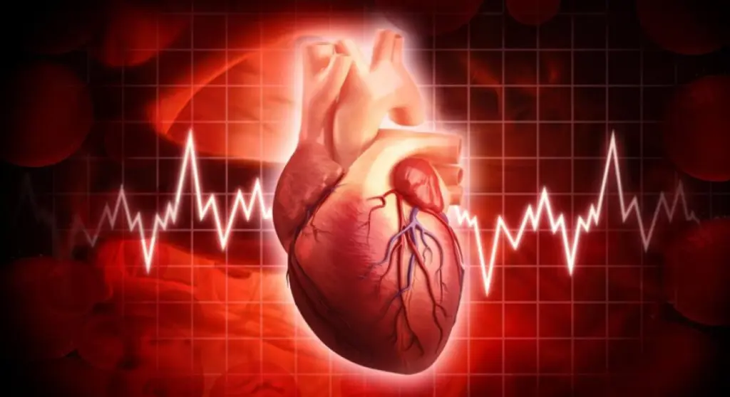 عادة يومية بسيطة قد تقلل خطر الوفاة بأمراض القلب