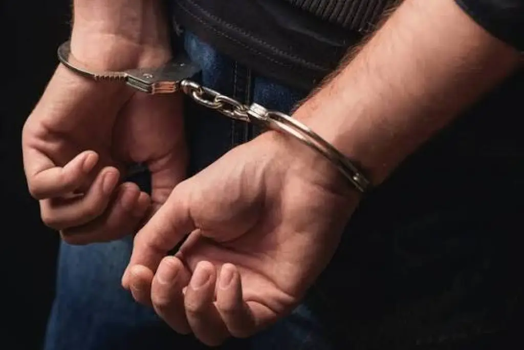 القبض على شخص أقدم على قتل شخص من جنسية عربية في محافظة الكرك