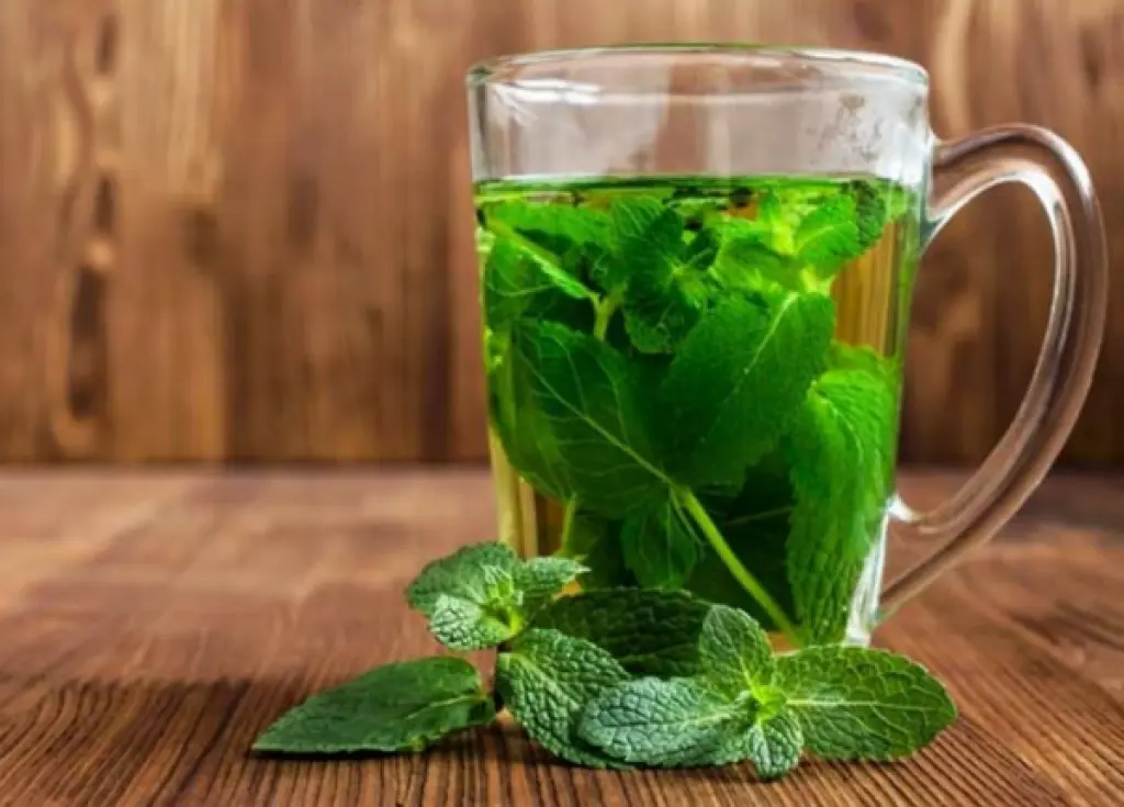 ما أفضل وقت لشرب النعناع الفلفلي لصحة الهضم ونوم أعمق؟