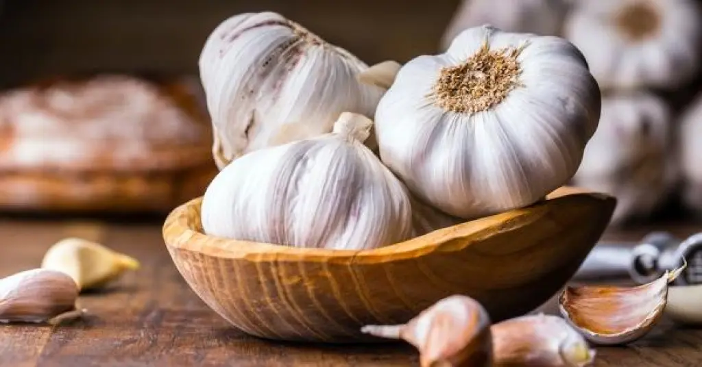 5 أطعمة تتفوّق على الثوم في تعزيز المناعة