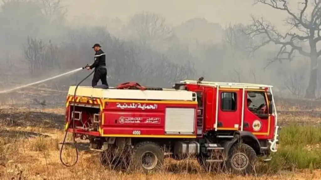 الجزائر .. إخماد 110 حرائق من أصل 174 خلال آخر 24 ساعة