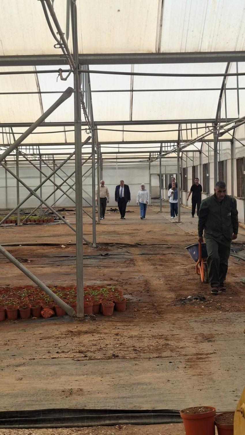 الملكاوي يتفقد إعادة زراعة الاشجار المنقولة من الارصفة للمشاتل