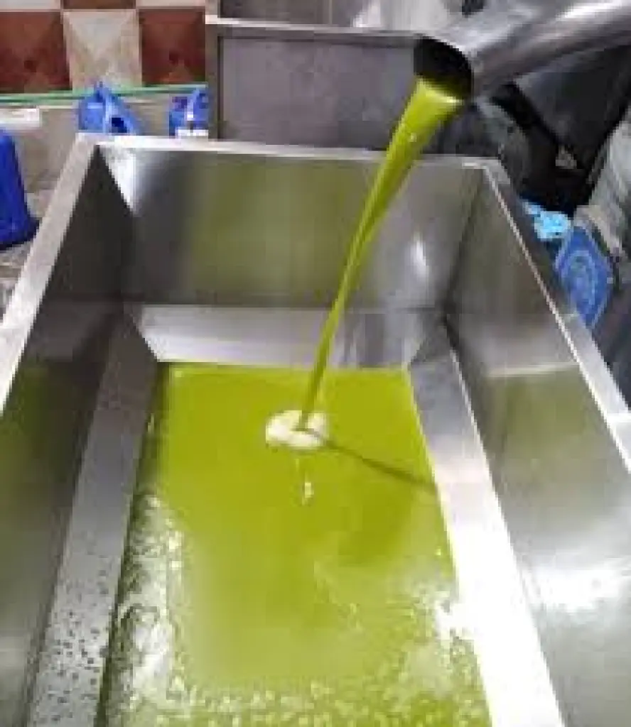 مواطنون يطالبون باستمرار استيراد زيت الزيتون لحماية المستهلك من ارتفاع الأسعار