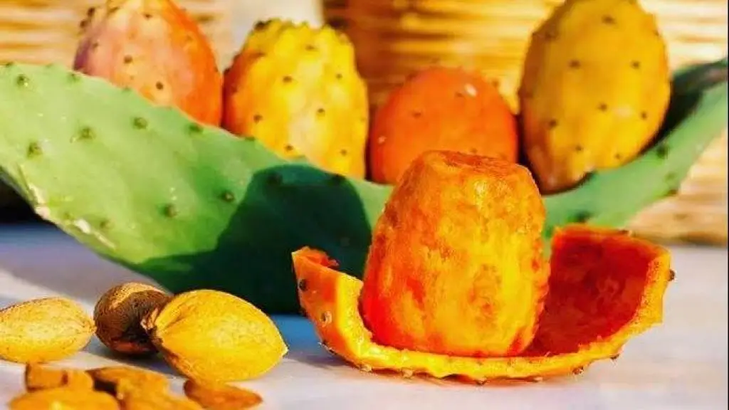 هؤلاء ممنوعون من تناول التين الشوكي .. هل أنت منهم؟